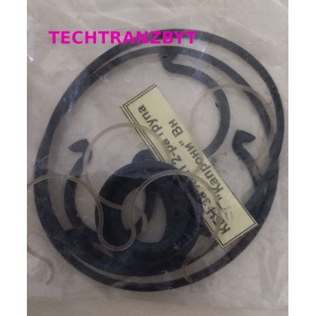 Komplet uszczelek pompy zębatej A/C72X, A54-72 BALKANCAR DV 1661/1733/1784/94